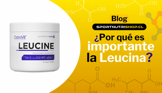 ¿Por qué es importante la leucina?