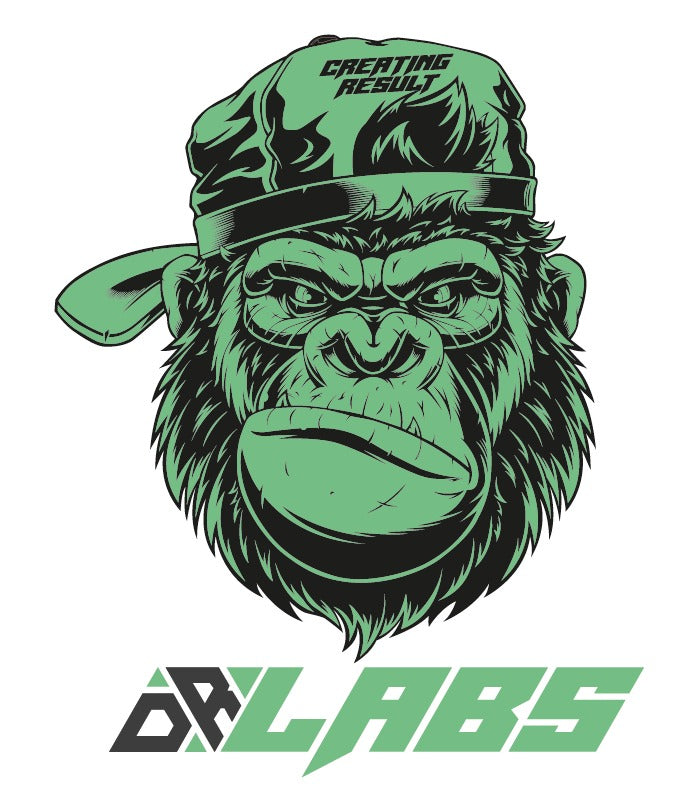 PROTEINA WHEY 100% 30 SERVICIOS - DR LABS